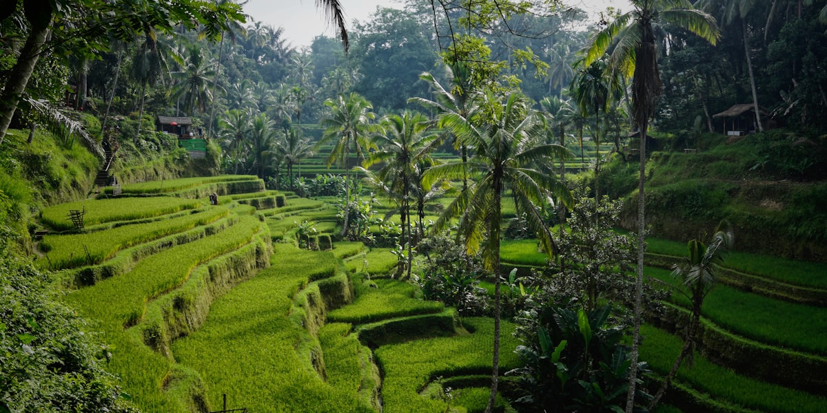 Tradisi Indonesia generasi muda